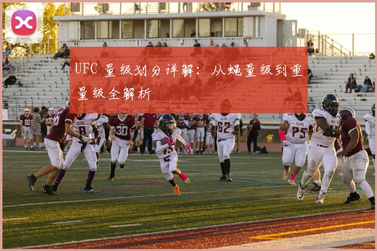 UFC 量级划分详解：从蝇量级到重量级全解析