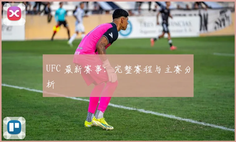 UFC 最新赛事：完整赛程与主赛分析